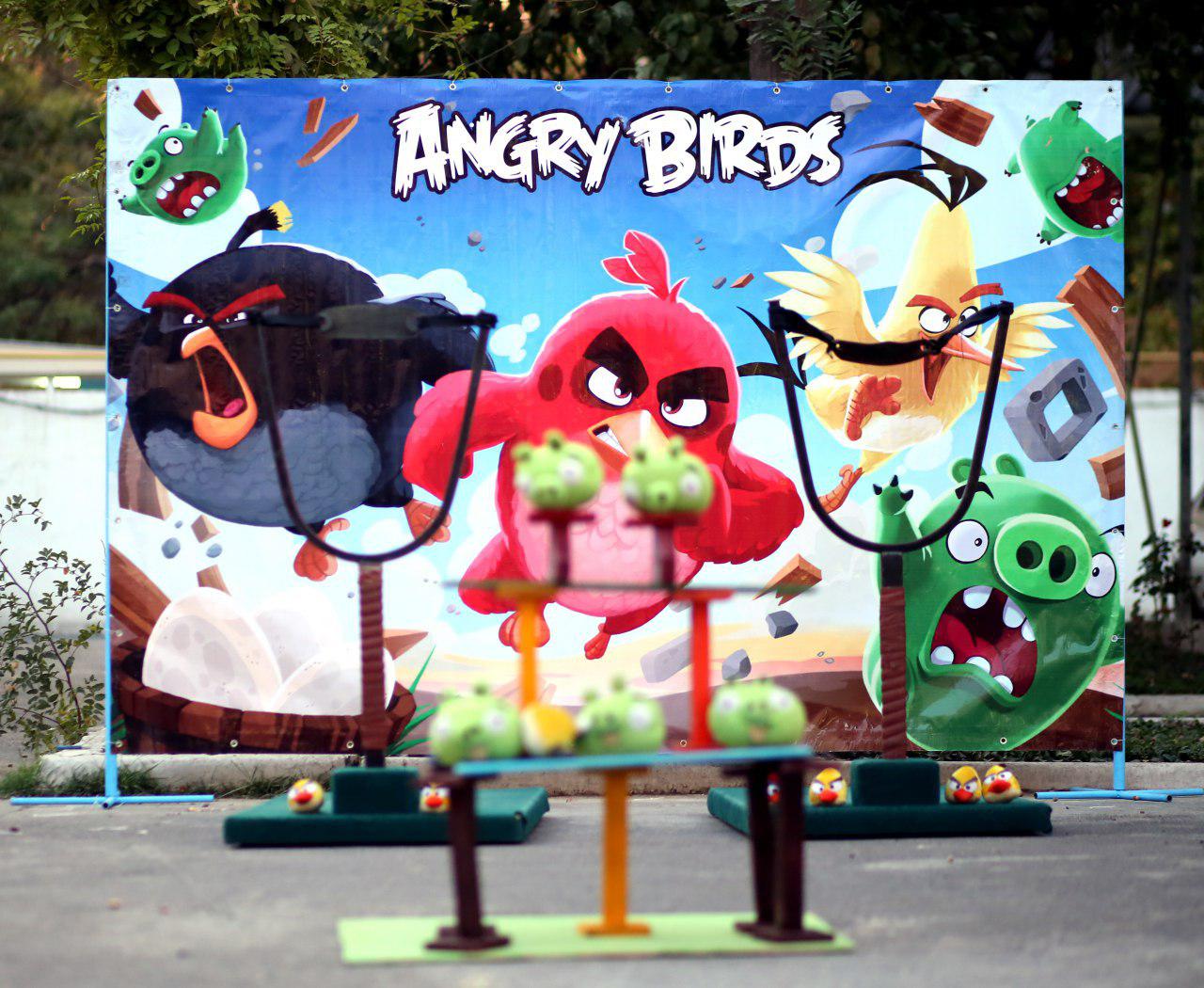 Рогатки Angry Birds